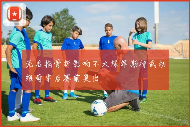 无名指骨折影响不大绿军期待武切维奇季后赛前复出