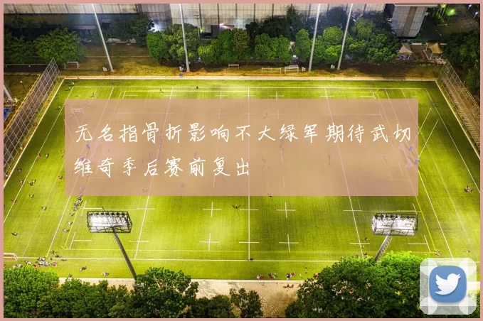 无名指骨折影响不大绿军期待武切维奇季后赛前复出
