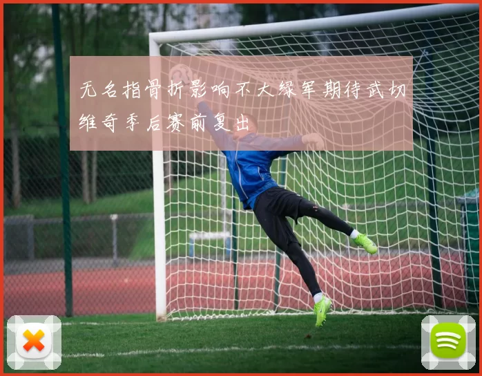 无名指骨折影响不大绿军期待武切维奇季后赛前复出