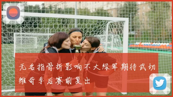 无名指骨折影响不大绿军期待武切维奇季后赛前复出