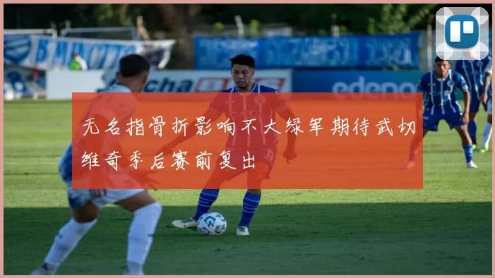 无名指骨折影响不大绿军期待武切维奇季后赛前复出