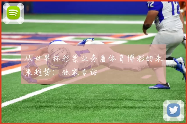 从世界杯彩票业务看体育博彩的未来趋势：独家专访