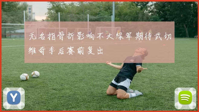无名指骨折影响不大绿军期待武切维奇季后赛前复出