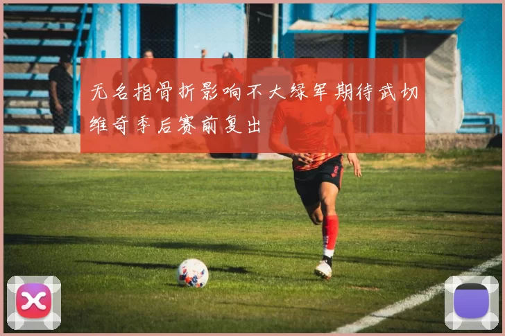 无名指骨折影响不大绿军期待武切维奇季后赛前复出