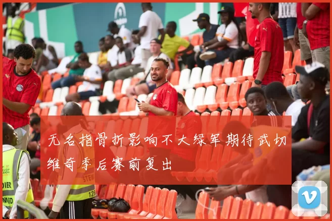 无名指骨折影响不大绿军期待武切维奇季后赛前复出