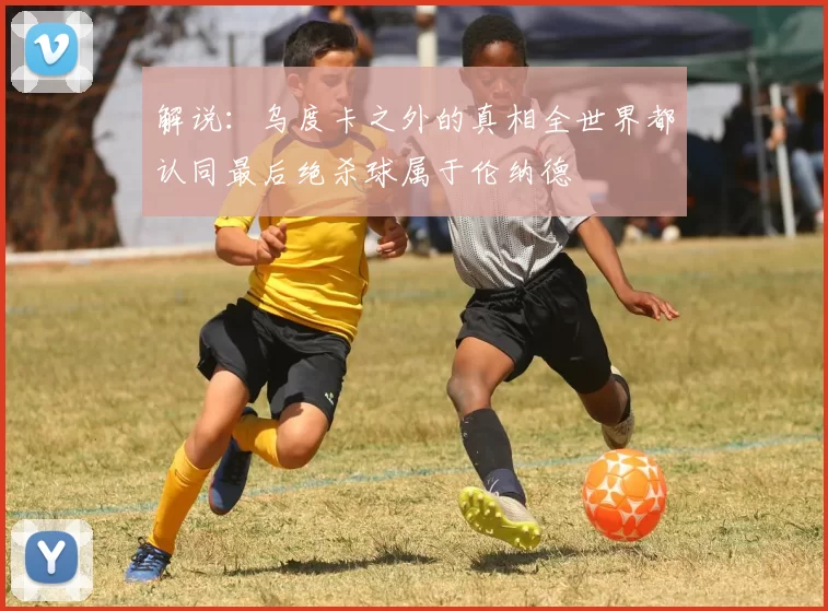 解说：乌度卡之外的真相全世界都认同最后绝杀球属于伦纳德