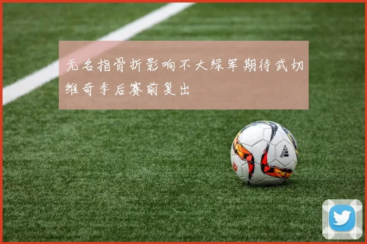 无名指骨折影响不大绿军期待武切维奇季后赛前复出