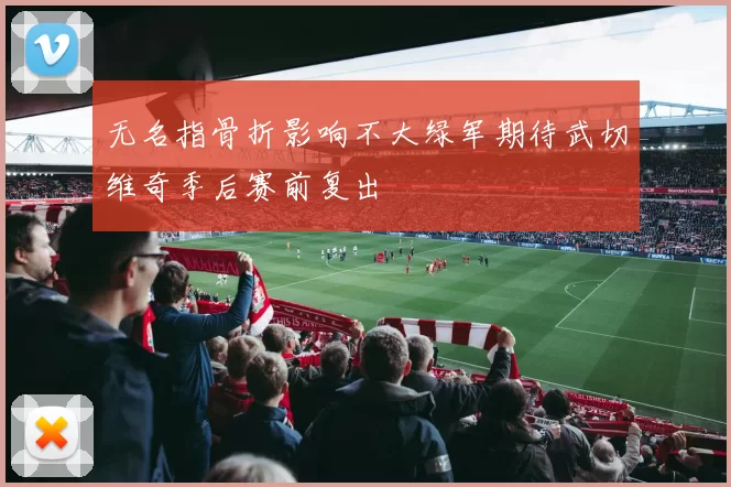 无名指骨折影响不大绿军期待武切维奇季后赛前复出