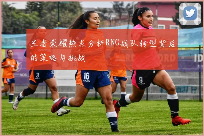 王者荣耀热点分析RNG战队转型背后的策略与挑战