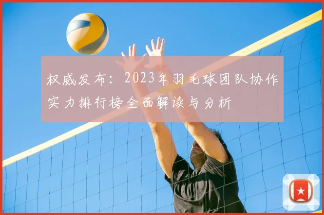 权威发布:2023年羽毛球团队协作实力排行榜全面解读与分析
