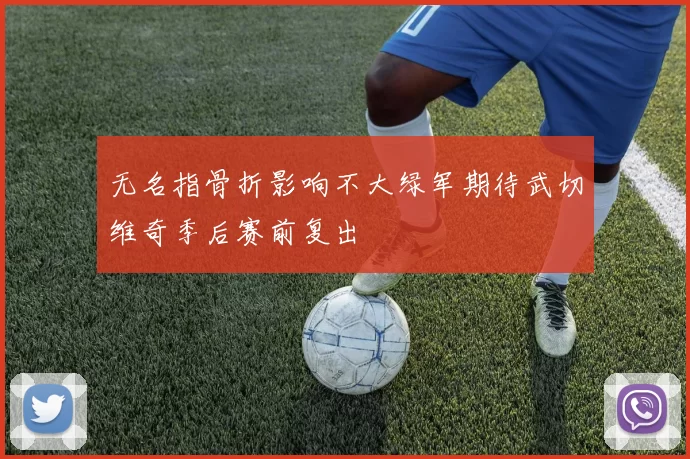 无名指骨折影响不大绿军期待武切维奇季后赛前复出