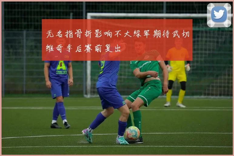 无名指骨折影响不大绿军期待武切维奇季后赛前复出