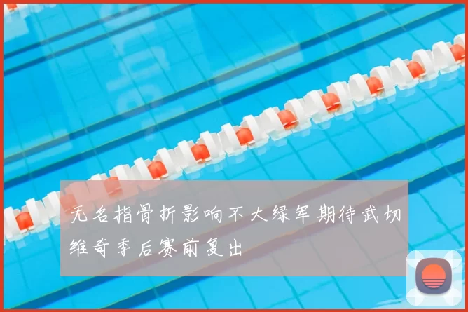 无名指骨折影响不大绿军期待武切维奇季后赛前复出
