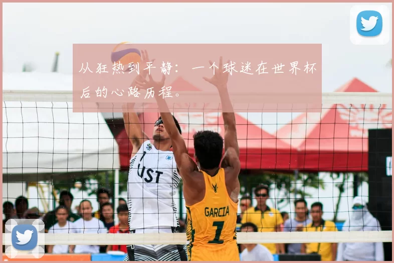 从狂热到平静：一个球迷在世界杯后的心路历程。