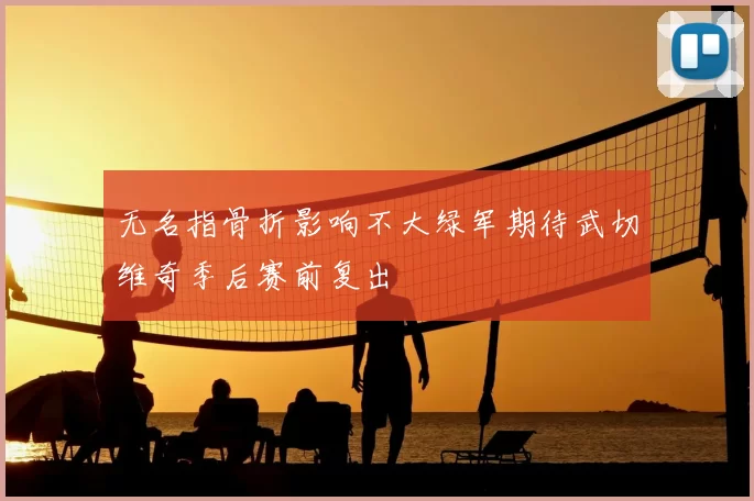 无名指骨折影响不大绿军期待武切维奇季后赛前复出