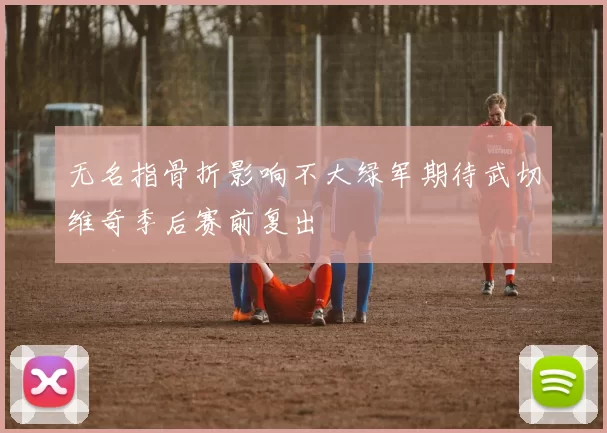 无名指骨折影响不大绿军期待武切维奇季后赛前复出