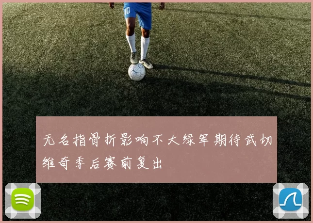 无名指骨折影响不大绿军期待武切维奇季后赛前复出